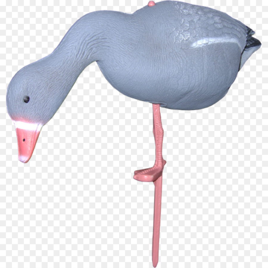 Flamingo Cartoon