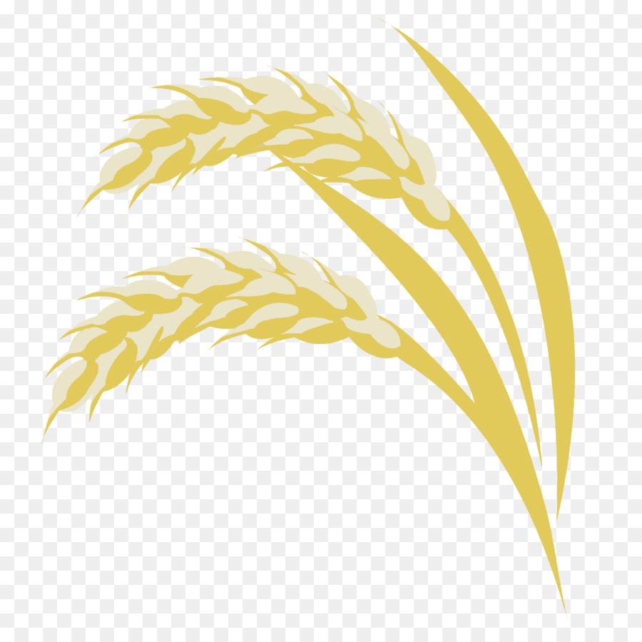 Erbe Merce Linea Di Famiglia - campi di riso