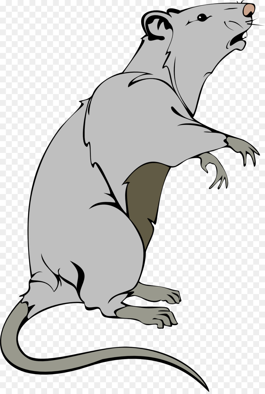 Ratte clipart - Maus Tier