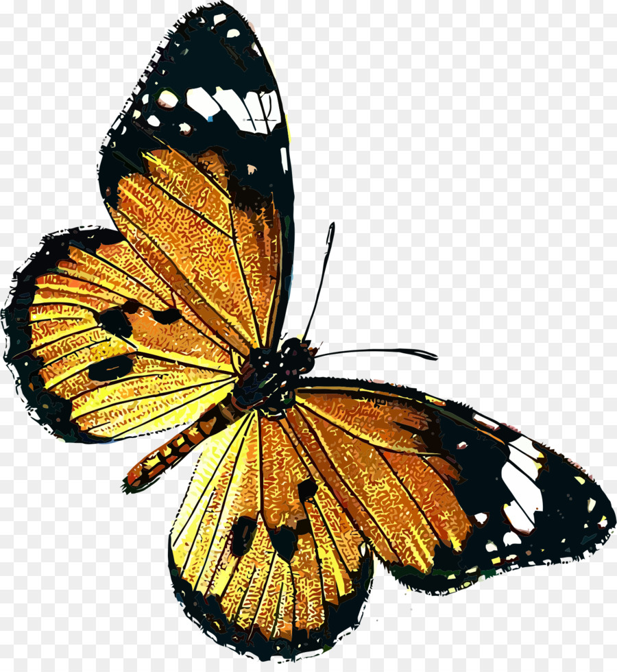 Butterfly Public domain Clip art - gelb butterfly Grenze