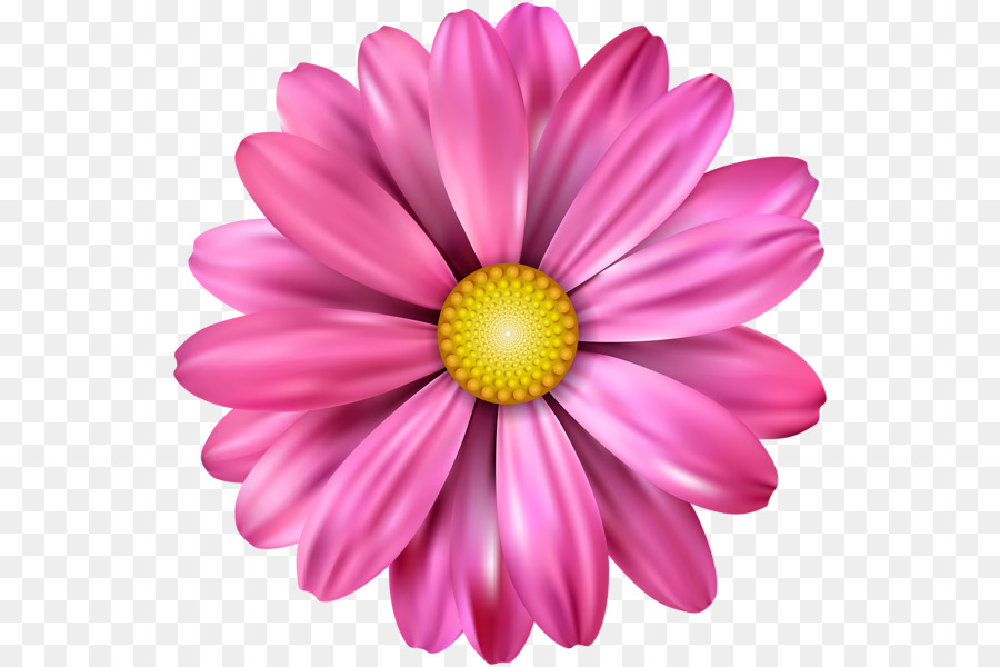 Petalo Di Disegno - fiore rosa, calendario