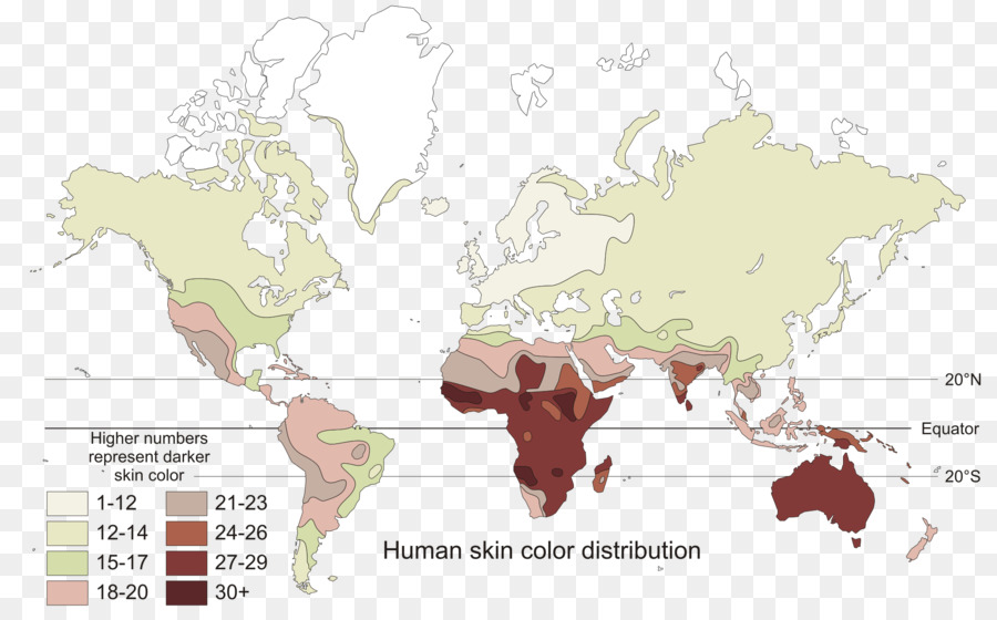 Uomo pelle colore Genetica Polygene - mappa di colore