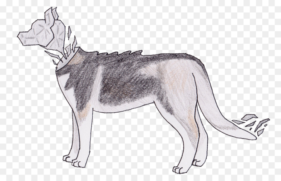 Saarloos Wolfshund Siberian Husky tschechoslowakische Wolfshund Alaskan Malamute Sakhalin Husky - Farbe Splitter
