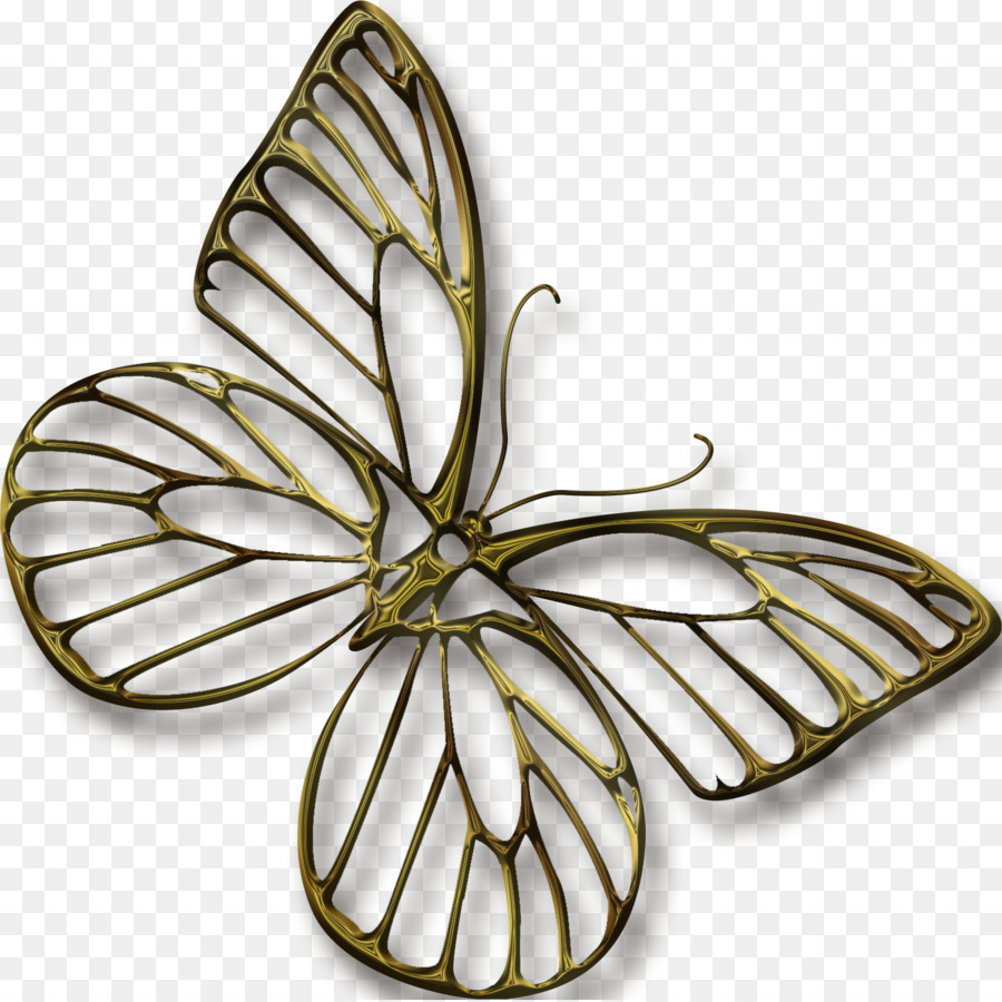 Vua bướm Côn trùng Ngoại Clip nghệ thuật - bộ sưu tập bướm đẹp