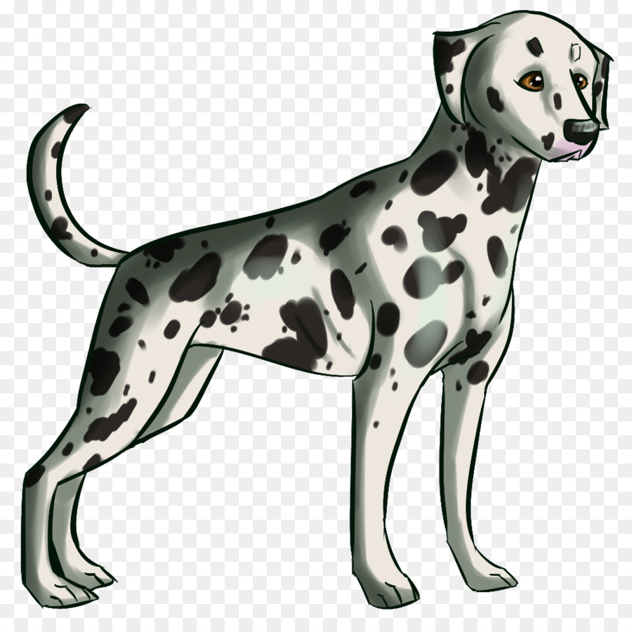 Dalmatiner Hund hundezucht Begleithund Nicht-sportliche Gruppe Pfote - Dalmatiner