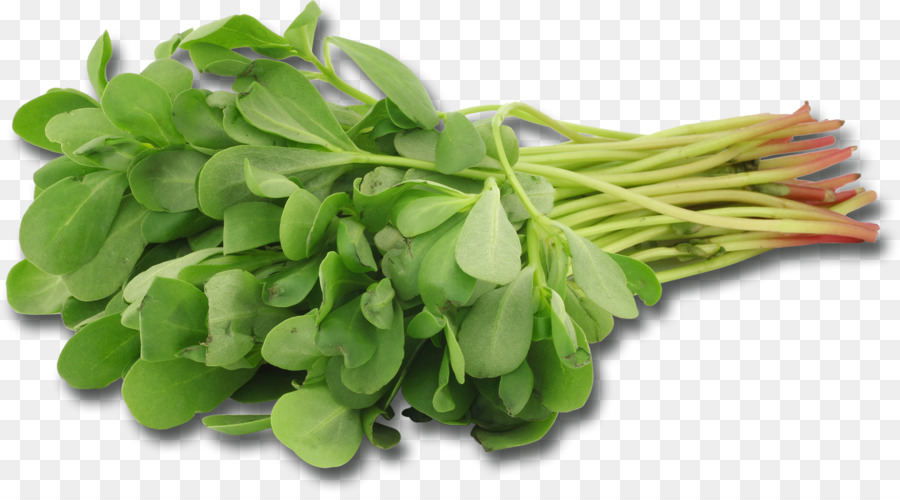 Mesclun Gemeinsame Portulak Blatt-Gemüse-Kräuter - Salat
