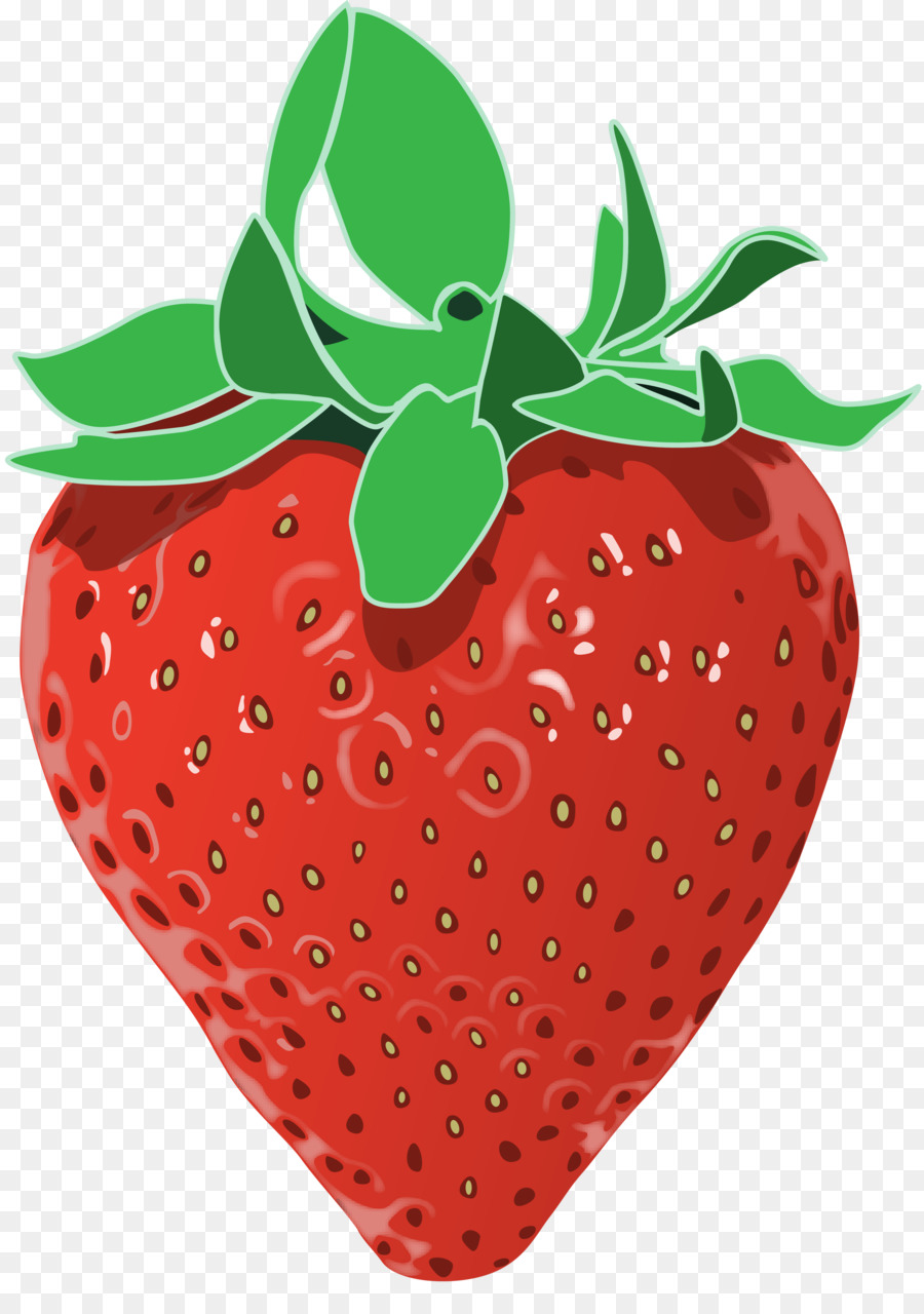 Erdbeere - Erdbeeren Vektor