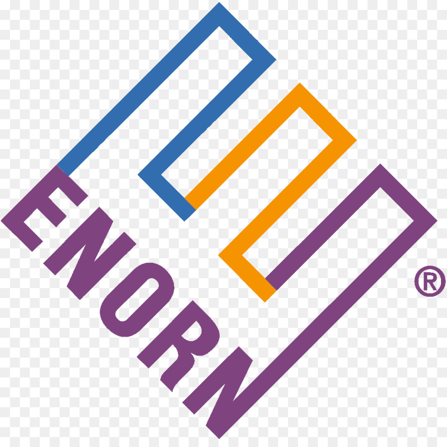 Enron Organization