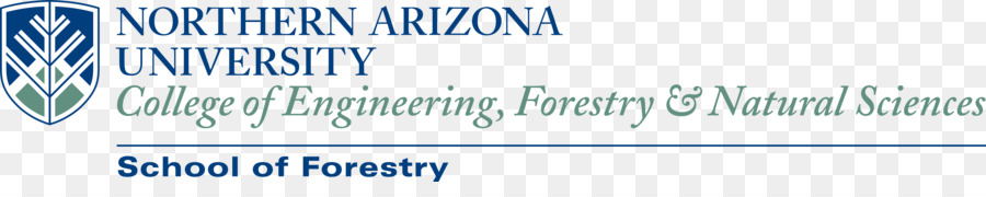 La Northern Arizona University e University of Arizona Scuola di Formazione - scuola