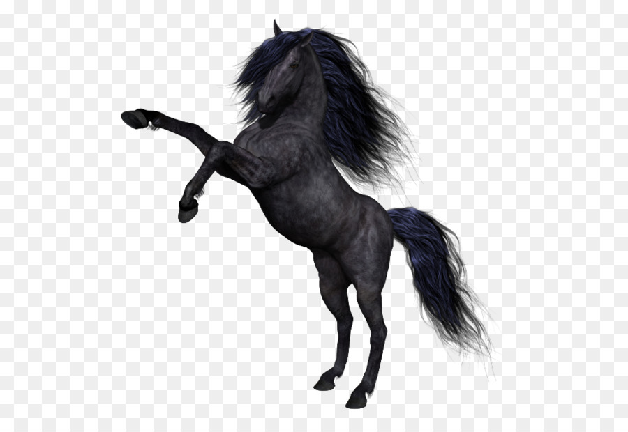 Mustang Pony Schwarz Clip-art - laufpferd