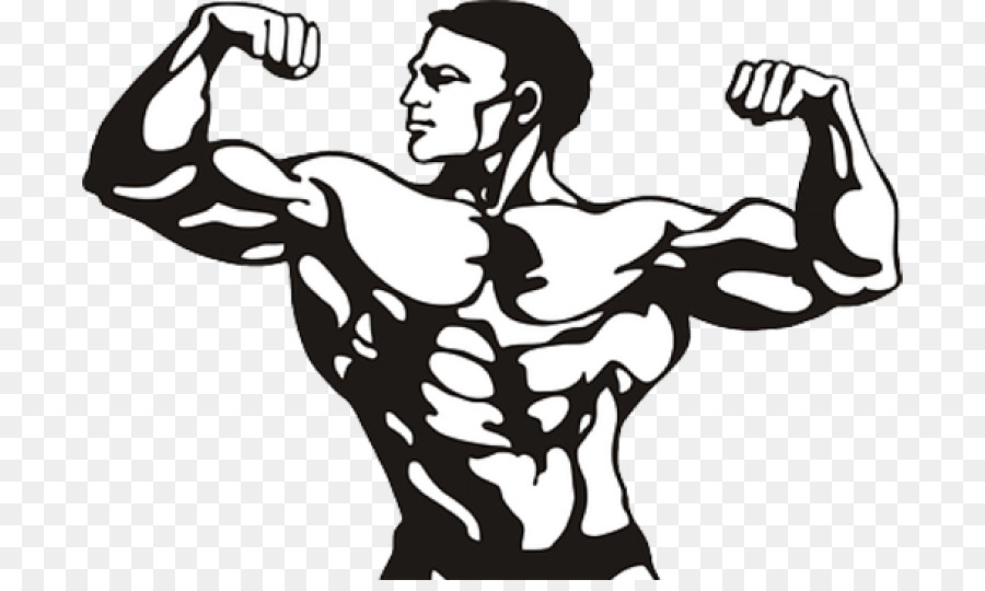 Man Cartoon png download - 800*530 - Free Transparent Bodybuilding png  Download. - CleanPNG / KissPNG