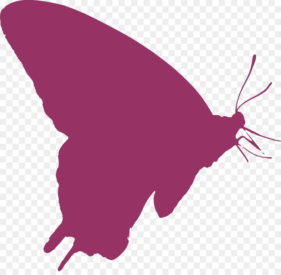 Icone del Computer Farfalla Utente Clip art - Silhouette di colibrì