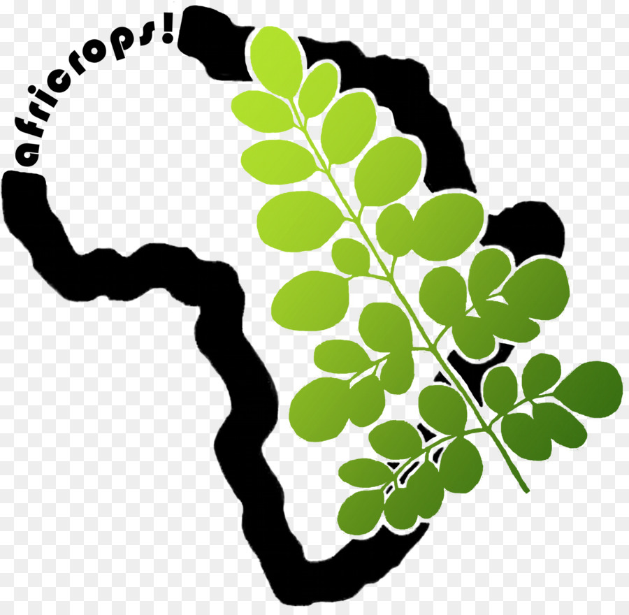 Đùi cây africrops! Thể quảng cáo cơ BẬC thức Ăn nguyên liệu - những người khác