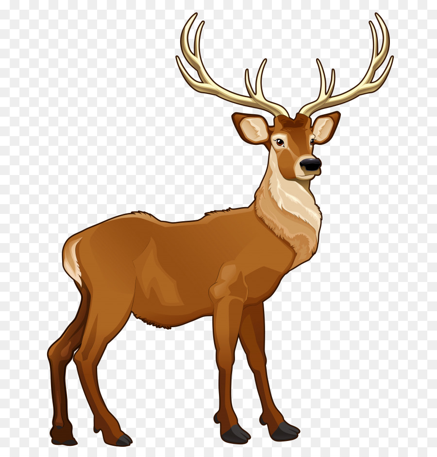 Reindeer Cartoon png download - 768*931 - Free Transparent Deer png  Download. - CleanPNG / KissPNG