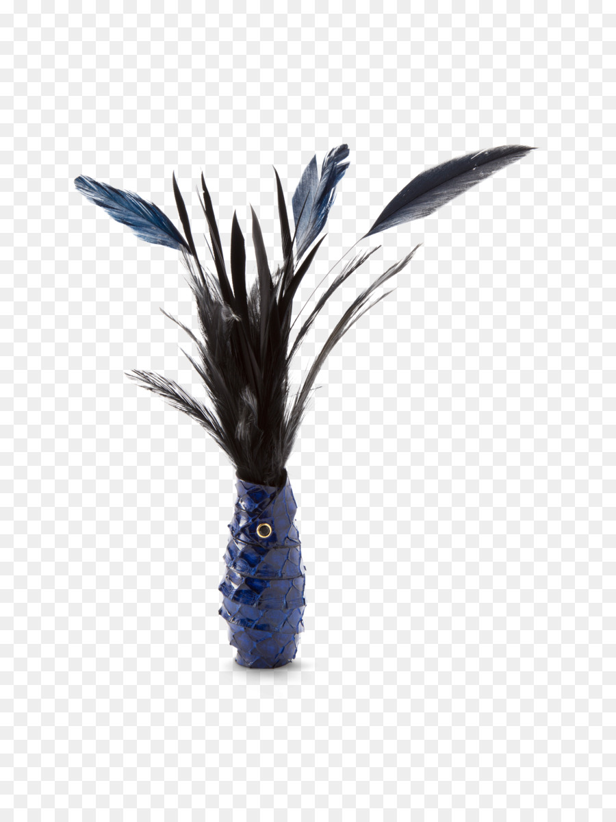 Màu xanh Cobalt Feather - màu xanh lông