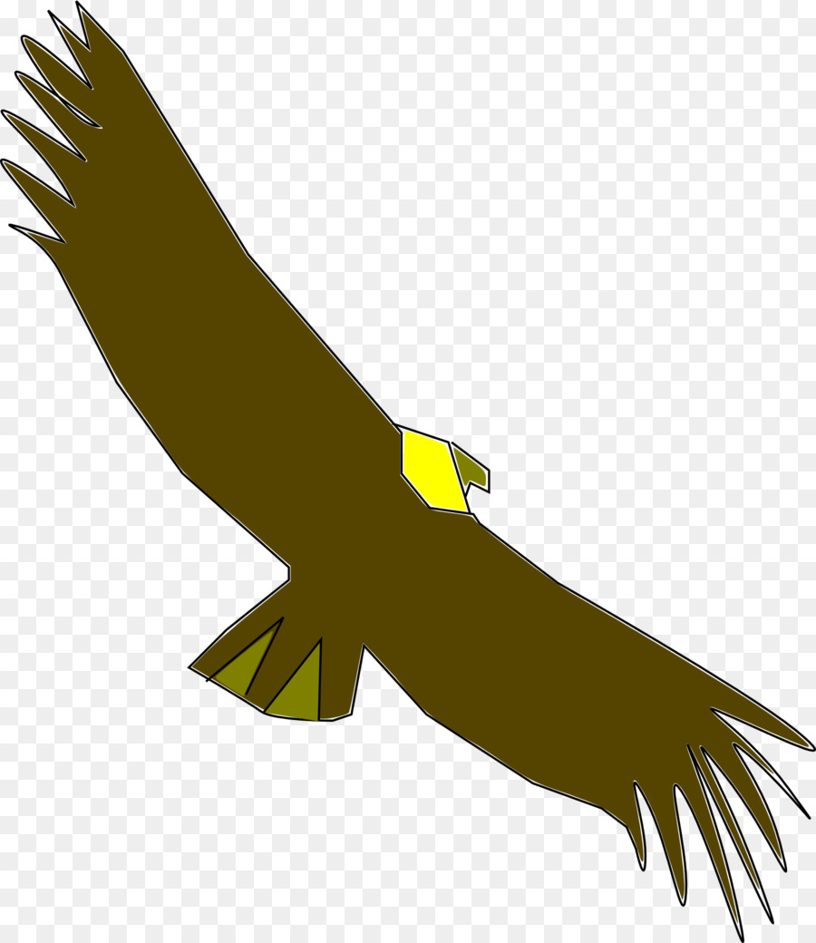Condor Scaricare Clip art - altri