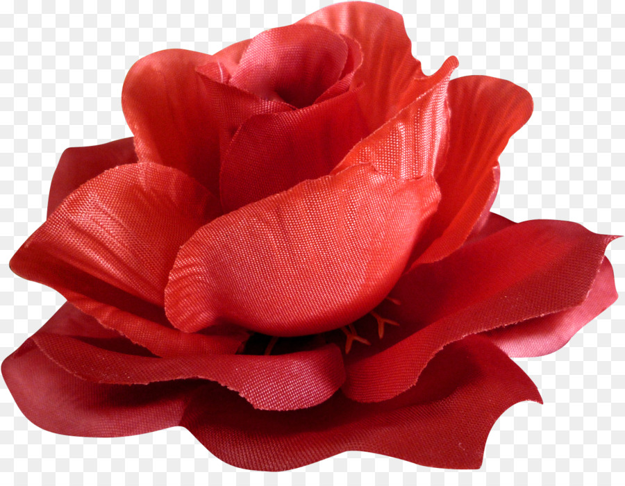 Rosa Blumen Rose - bunte Elemente
