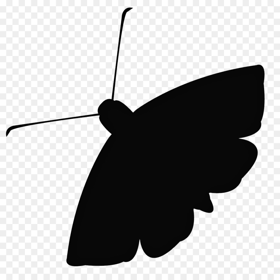 Những con sâu Bướm Podcast DC Moth: StorySLAM - những người khác