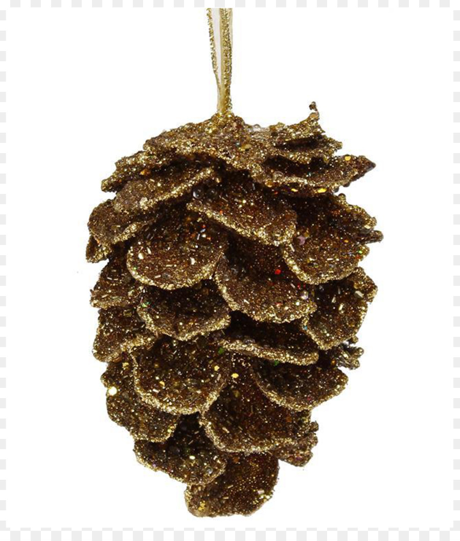 Nadelbaum Kegel Picea mariana Ornament Tannen-Perle - Fasan Federn