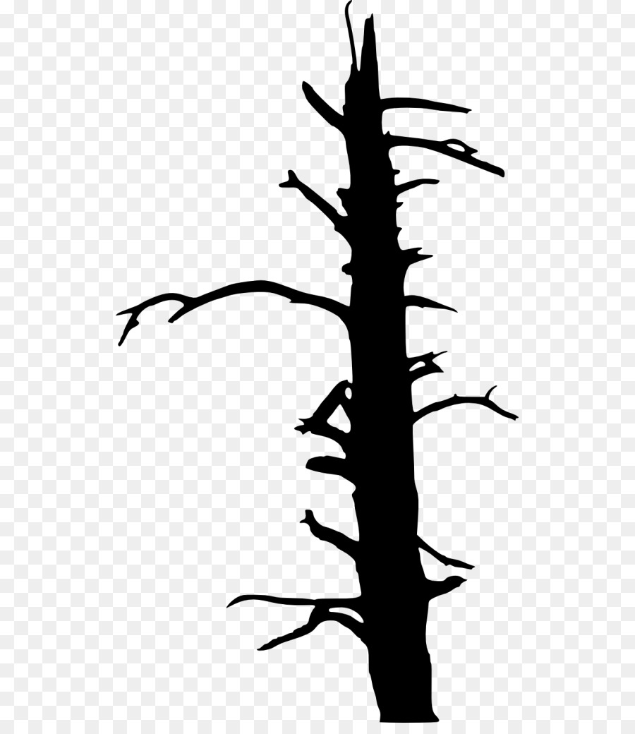 Un ramoscello di Albero di Disegno Clip art - albero morto