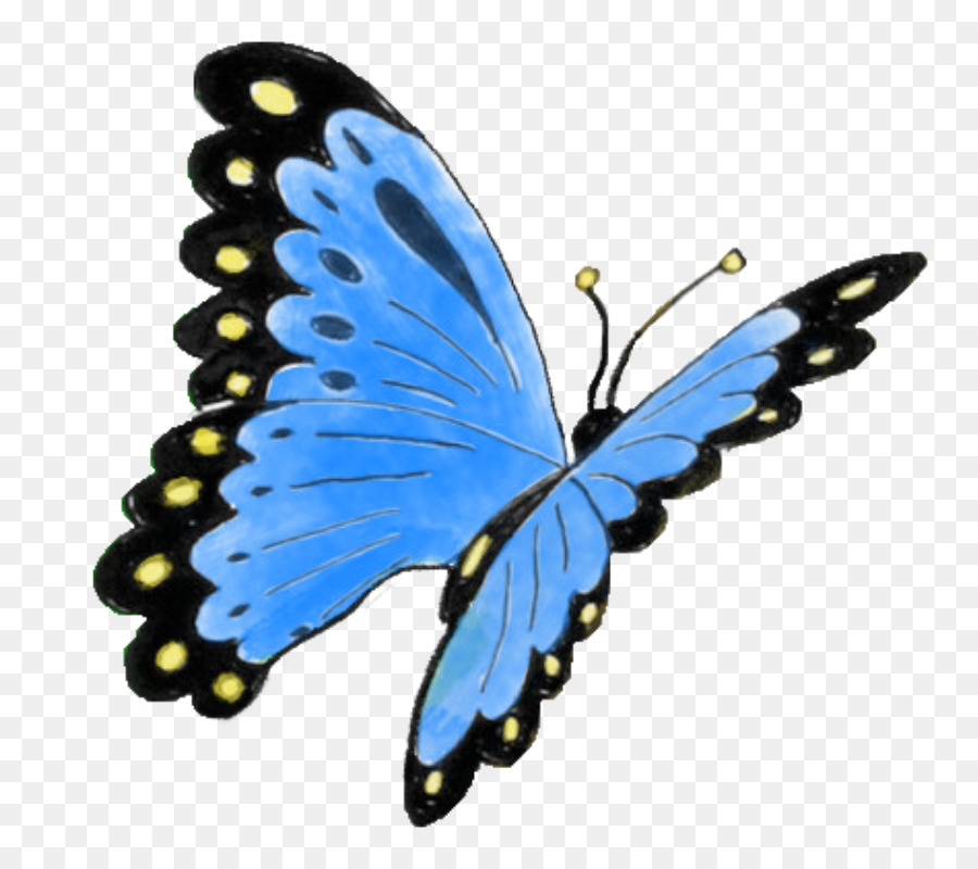 Farfalla monarca Nymphalidae Microsoft Azure Milkweeds - dipinto farfalla di sogno