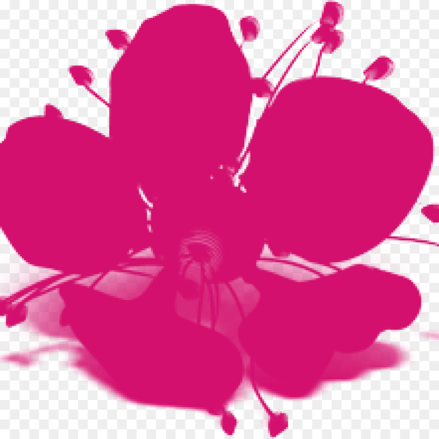 Giardinaggio Paesaggistica Bloem it Tuin Recinzione - fiore rosa