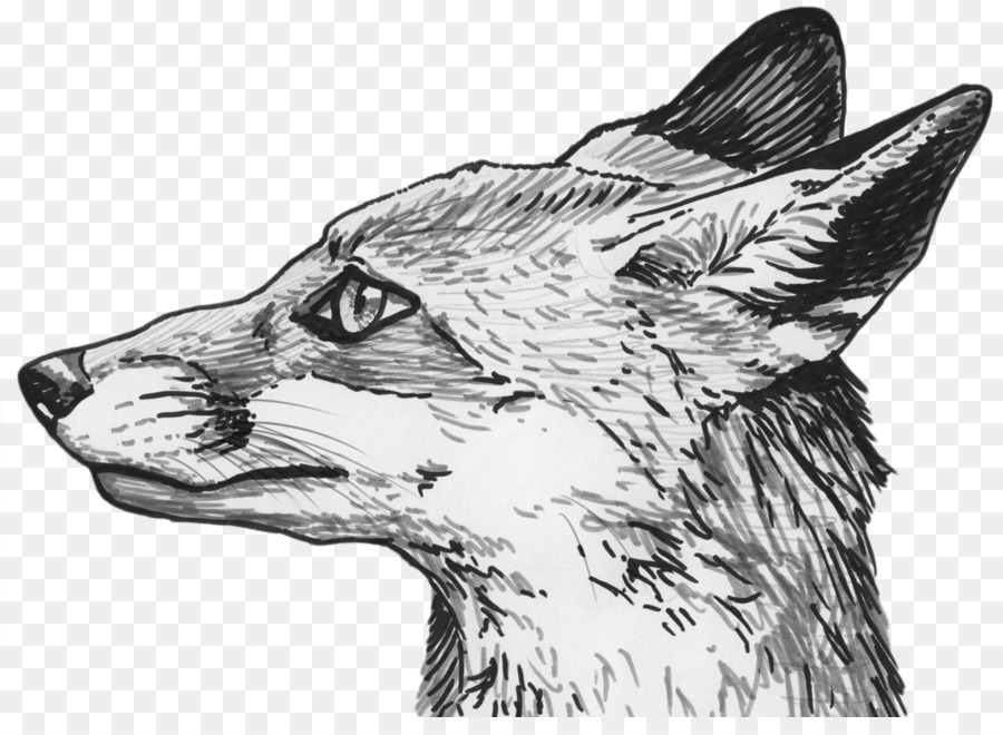 Zeichnung Fox-Skizze - Geschwindigkeit wolf