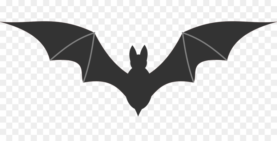 Bat Clip nghệ thuật - halloween áp phích psd lớp