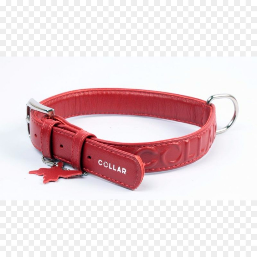 Collare di cane Accessori di Abbigliamento - collare rosso