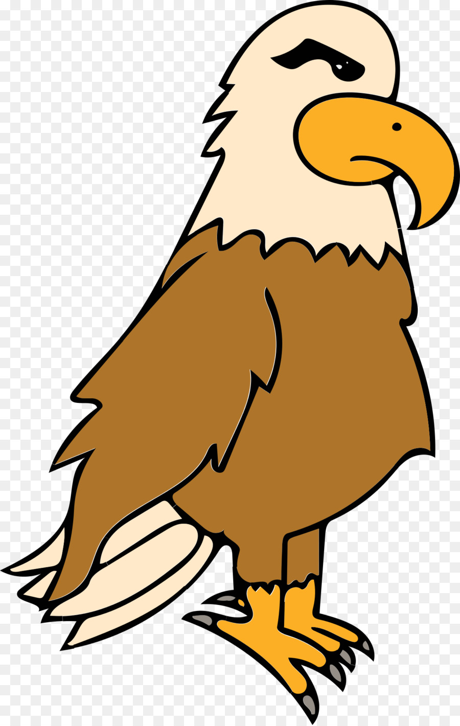 Bald Eagle Bird clipart - Adler Vektor