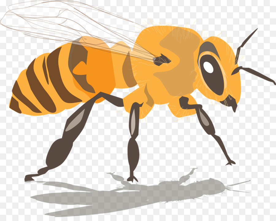 Die westlichen Honig-Biene, Bienenstock, Bienenwachs Schwärmen - trinken Honig Bienen