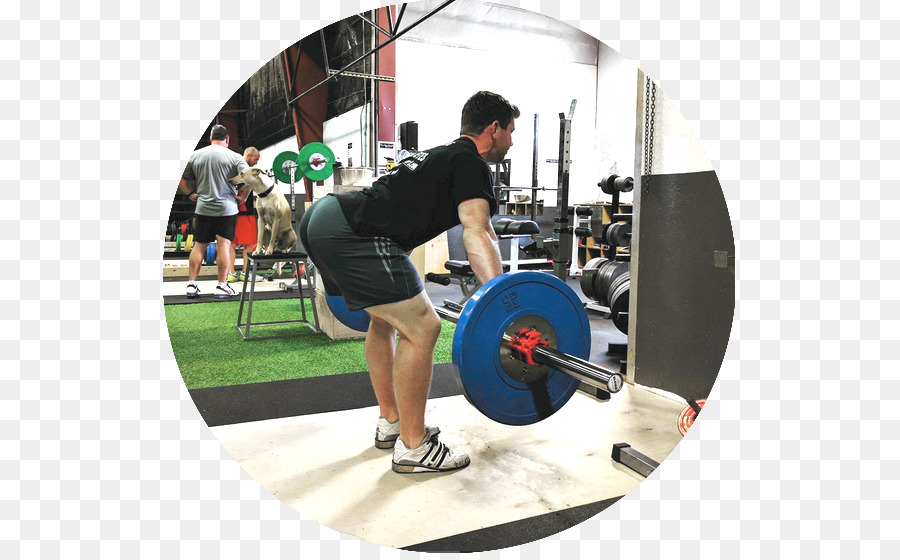 Powerlifting, Krafttraining mit Langhantel und Körperliche fitness - Kinn Ausbildungseinrichtungen