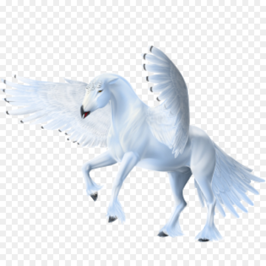 Howrse Pegasus cavallo Arabo - Pegasus