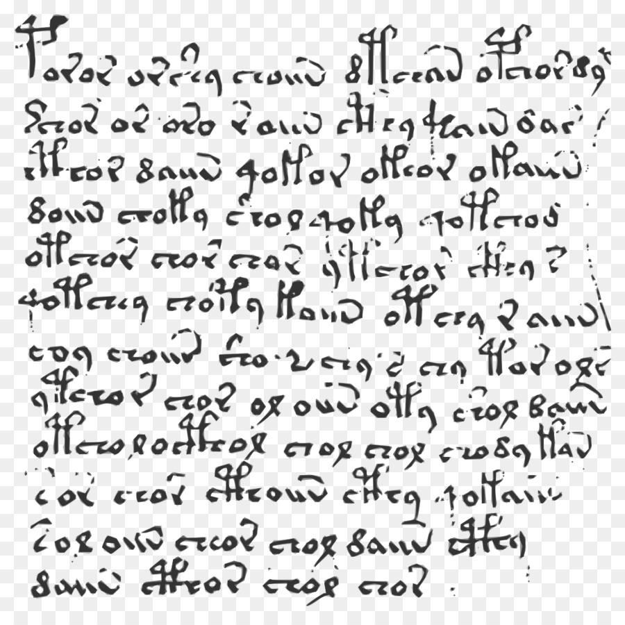 Manoscritto Voynich Scrivendo il Libro di Testo - manoscritto