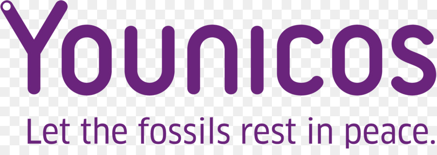 Younicos GmbH Younicos Inc. Energy storage Società per azioni - font design senza fibbia