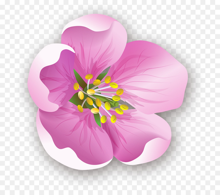 Flower Petal Clip Art - Blume