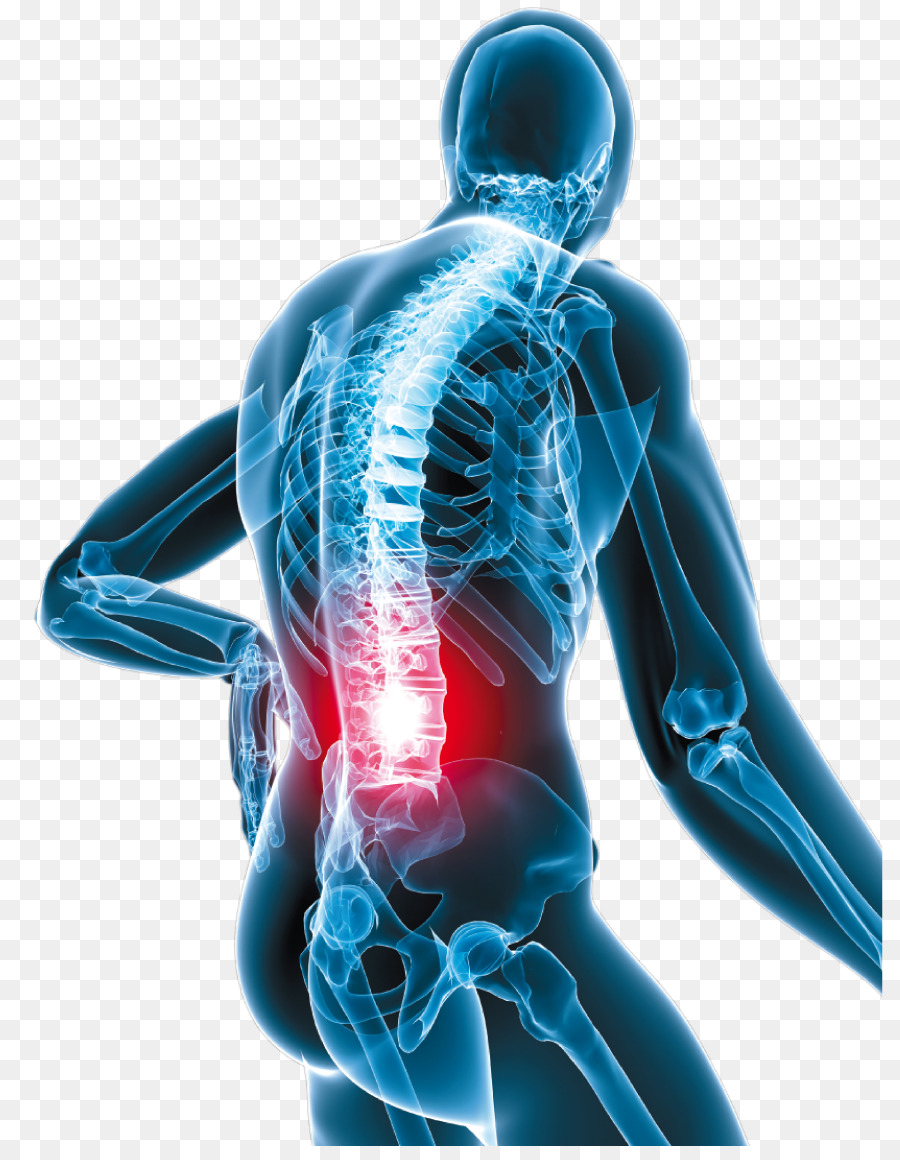 Bassa dolore alla schiena il dolore al Collo Ossicodone Umana indietro - vertebrale