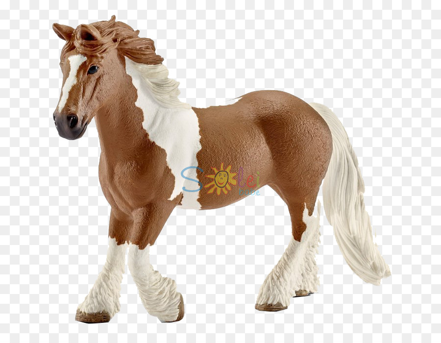 Zigeuner Pferd Mare Hengst Mustang Pony - Mustang
