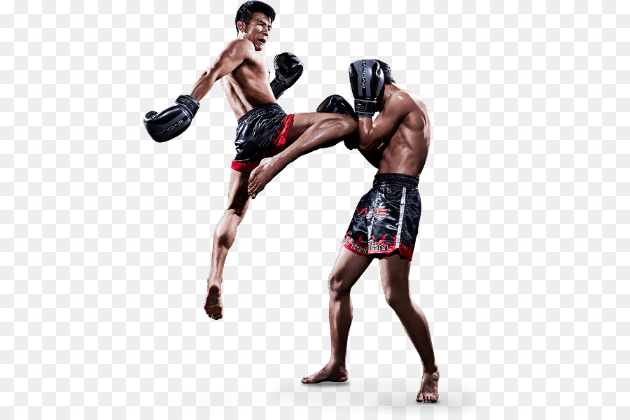 Muay Thai Kickboxing arti Marziali Brazilian jiu-jitsu - Boxe