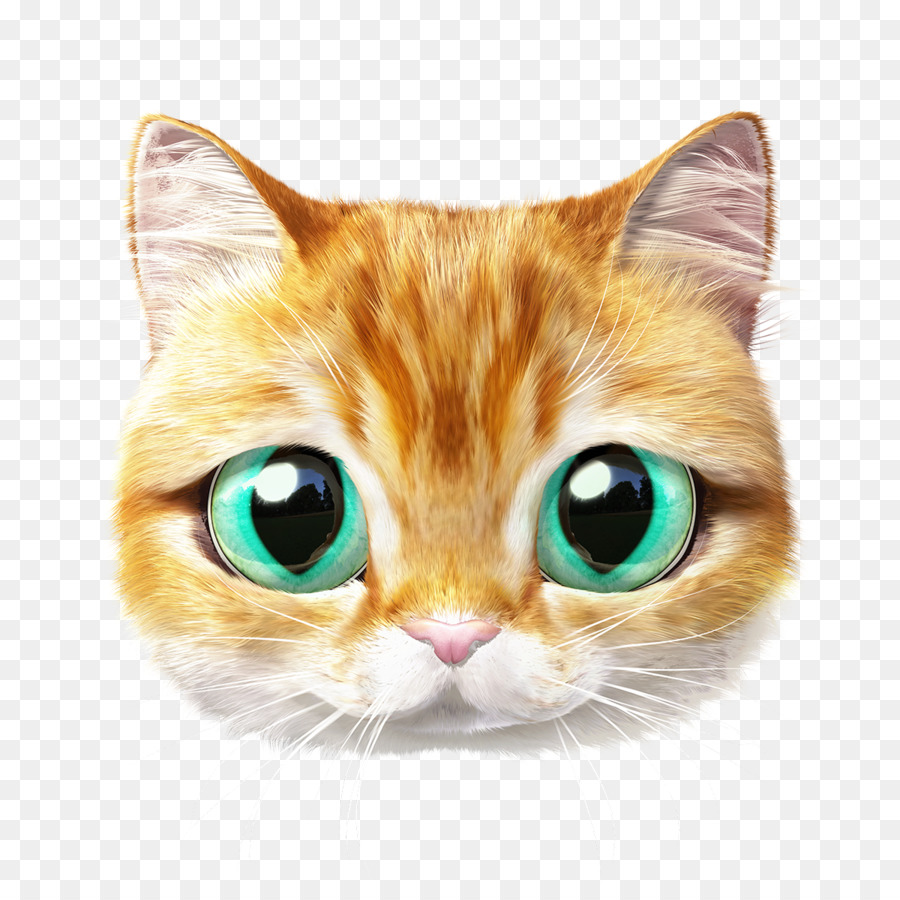 Người hâm mộ nghệ thuật Mèo YouTube Vẽ - lười biếng mèo béo