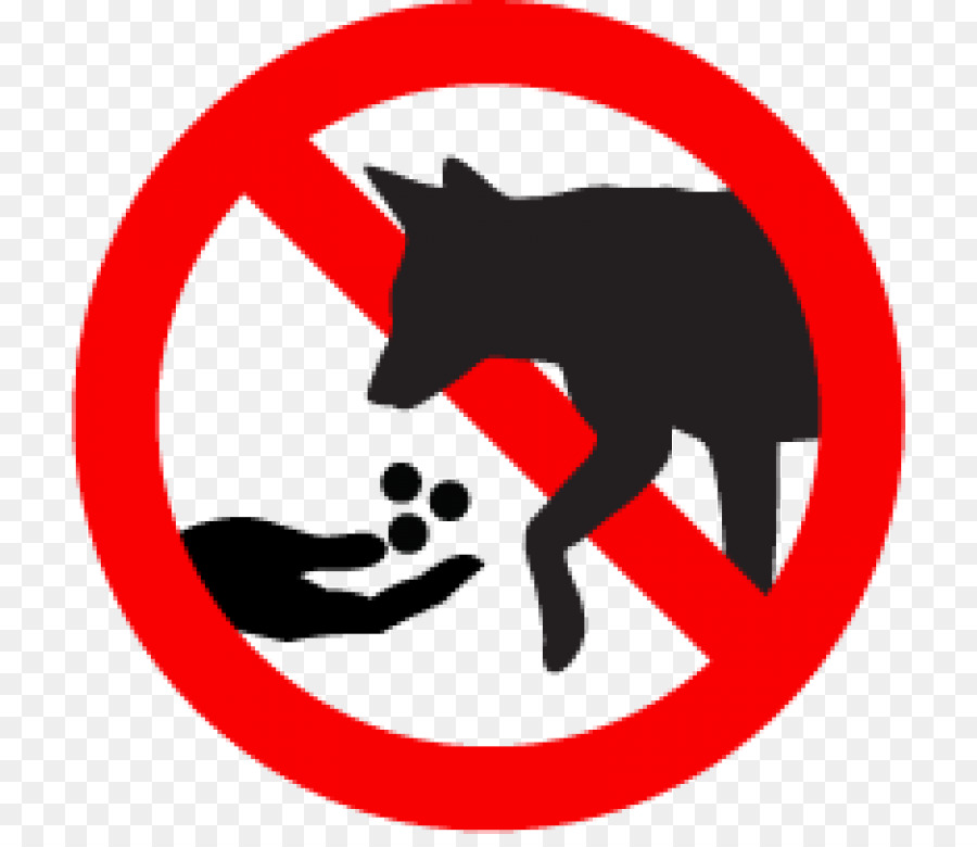 Il Coyote Pastore tedesco non nutrire gli animali Pet - cucciolo
