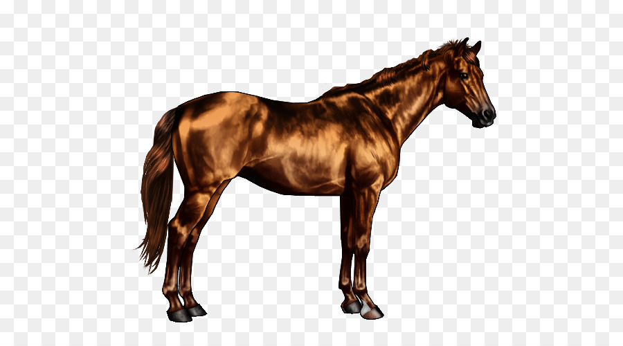American Quarter Horse American Paint Horse Cavallo marcature Dun locus Nero - altri