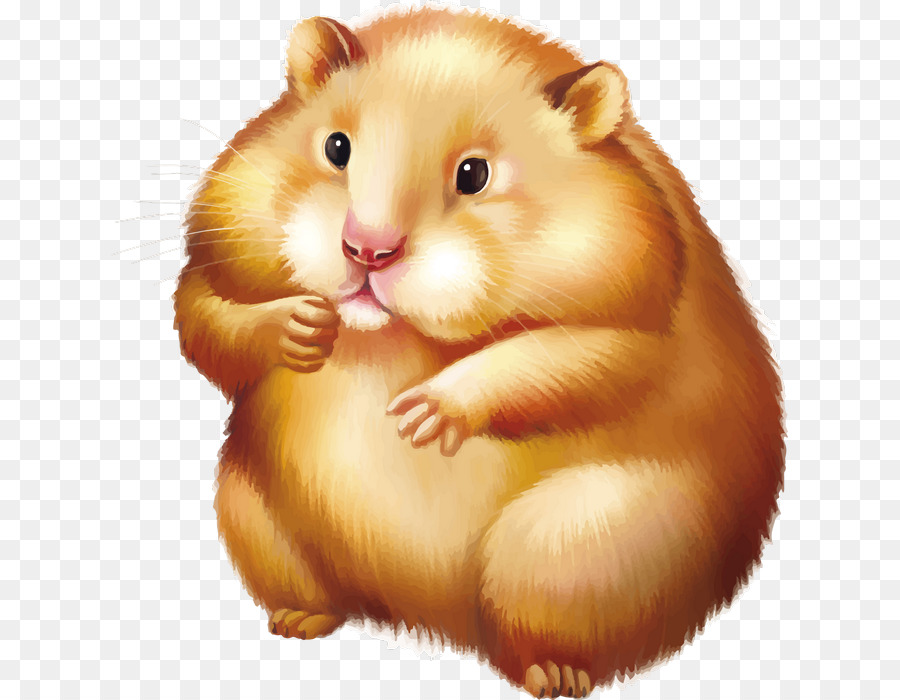 Golden hamster Maus Nager - Maus