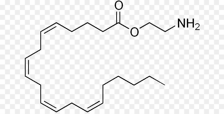 Fenilalanina Triptofano gruppo Metilico di Aminoacidi - altri