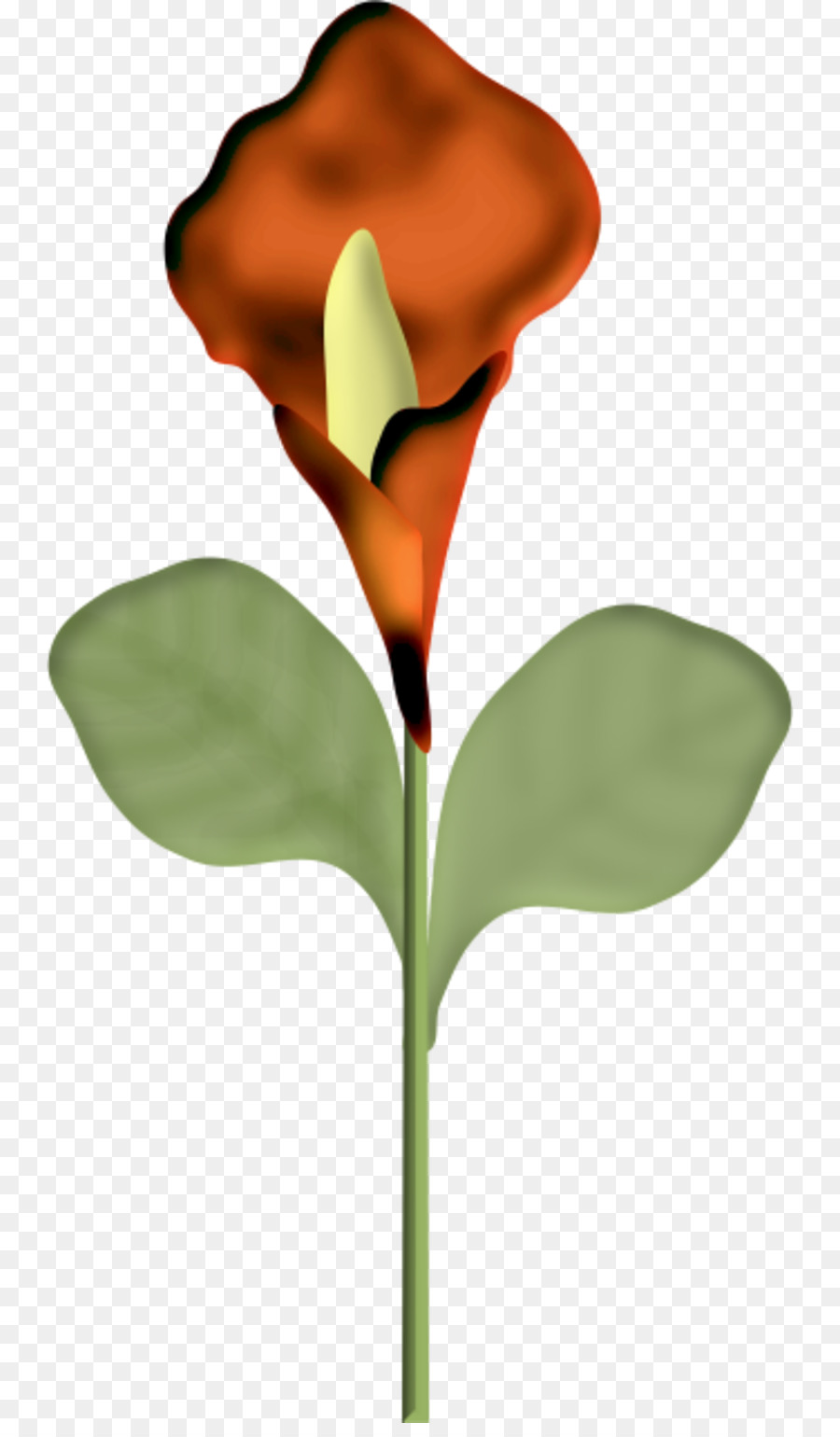 Blume Bayan Mod Blütenblatt Pflanze-Stiel - Blume