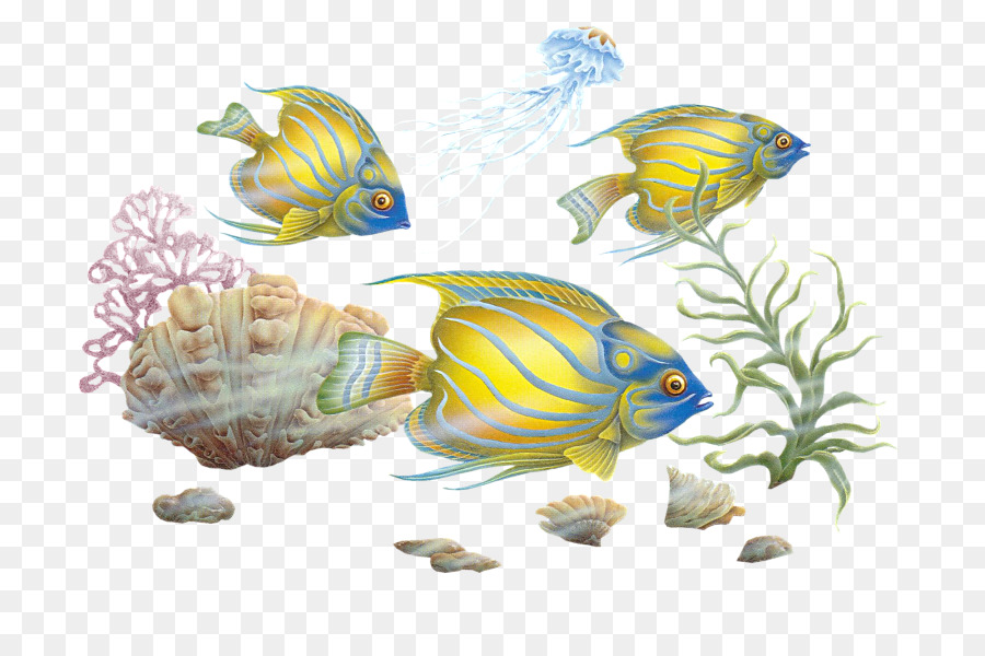 Pesci colorati Clip art - pesce
