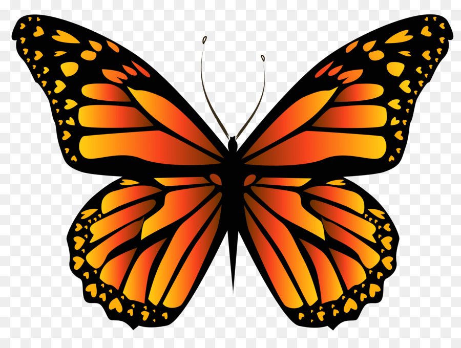 Monarca, farfalla, Insetto Viceré Caterpillar - farfalla gialla confine