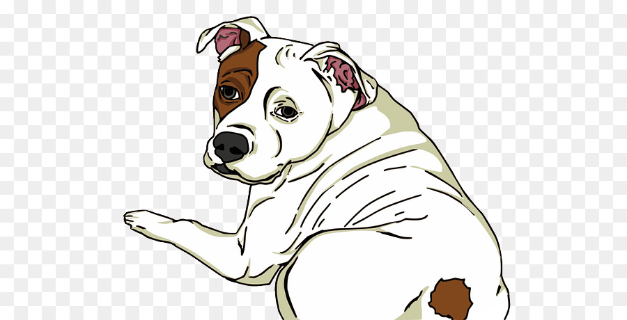 American Pit Bull Terrier Cucciolo Di Bulldog American Staffordshire Terrier - cucciolo