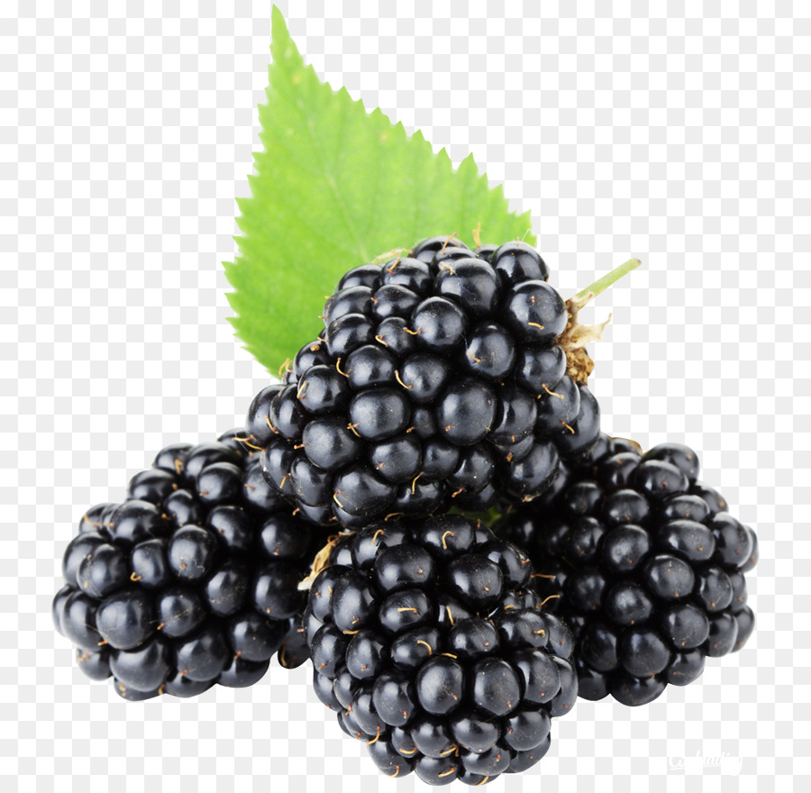 Blackberry Frutta - Mora