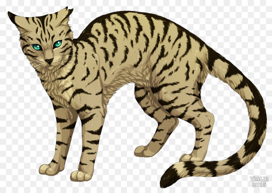 Krieger Katze In der Wildnis Longtail-Erin Hunter - Katze